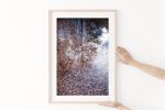 Contemporary natural decor, 'Autumn Detritus' photograph | Photography by PappasBland. Item composed of paper in contemporary or country & farmhouse style