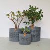 Felt Plants Pot Cover for Modern Home. Gray, blue or beige | Planter in Vases & Vessels by DecoMundo Home. Item composed of leather in minimalism or modern style