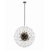 Alan Mizrahi IQ8185 Sophia Single Pendant 24 | Chandeliers by Alan Mizrahi Lighting Design