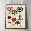 Mushroom Wall Art, Mushroom Art, Antique Victorian Mushroom | Prints by Capricorn Press. Item composed of paper compatible with boho and minimalism style