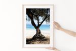 Greece photography print, "Olive Tree" Mediterranean art | Photography by PappasBland. Item composed of paper in contemporary or coastal style