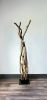 Large Driftwood Sculpture "Interlaced With Grace" | Sculptures by Sculptured By Nature  By John Walker. Item made of wood works with minimalism style