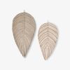 Set of Mixed Leaf- Napa | Wall Sculpture in Wall Hangings by YASHI DESIGNS by Bharti Trivedi