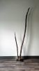 Large Driftwood Sculpture "Vale" | Sculptures by Sculptured By Nature  By John Walker. Item made of wood compatible with minimalism style