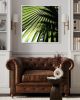 Shadow Palm | Photography by Neon Dunes by Lily Keller