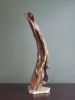 Driftwood Sculpture "Havana" with Marble Base | Sculptures by Sculptured By Nature  By John Walker. Item made of wood works with minimalism style