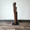 Driftwood Sculpture "Acclivity" | Sculptures by Sculptured By Nature  By John Walker. Item composed of wood in minimalism style