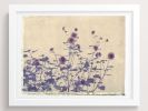Blackeyed Susan | Photography by She Hit Pause. Item composed of paper