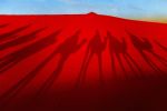 Saharan Camel Shadows | Photography by Louise O'Gorman
