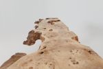 Live-Edge Burl Wood Console Table, Organic Modern, Handmade | Tables by Logniture