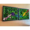 Wall Art Decor Moss Plants Dried Flower Art, Indoor Green | Living Wall in Plants & Landscape by Sarah Montgomery