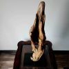 Driftwood Art Sculpture "Posing Porpoise" | Sculptures by Sculptured By Nature  By John Walker. Item composed of wood compatible with minimalism style