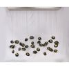 AM1019 Medusa Bloom | Chandeliers by Alan M
