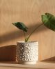 Kolo (Gloopy) Planter - 2 sizes | Vases & Vessels by Misewell
