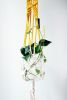 Sun-Crowned Botanical Plant Hanger — Top-Dyed Hand-Knotted Fiber Art | Plants & Landscape by Freefille