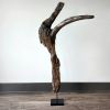 Driftwood Sculpture "Mirthful Maguari" | Sculptures by Sculptured By Nature  By John Walker. Item composed of wood in minimalism style