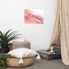 Pink Floral Art Prints: Peace - Dew Drops on Petals | Photography by PIPA Designs