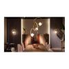 Alan Mizrahi IQ2300 Castelli Pendant | Chandeliers by Alan Mizrahi Lighting Design