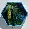 Hexagon Botanical Gardens | Wall Sculpture in Wall Hangings by Moss Art Installations