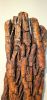 Driftwood Bark Wall Hanging | Sculptures by Sculptured By Nature  By John Walker. Item made of wood compatible with minimalism style