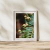 Photograph • Ferns, PNW, Oregon, Forest, Macro Photography | Photography by Honeycomb. Item made of metal & paper