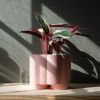 Pillar Planter | Vases & Vessels by Misewell