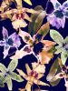 Orchid You Not - 6 Versions | Photography by Joanie Landau