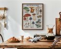Woodland Mushrooms | Prints by The Ugly Cat Studio