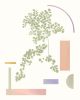 Botanical Collage Print in Pastel colors with Abstract | Prints in Paintings by Capricorn Press. Item made of paper works with boho & minimalism style