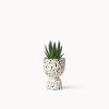 Speckled Stacked Planters | Vases & Vessels by Franca NYC. Item composed of ceramic compatible with boho and minimalism style