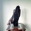 Large Driftwood Art Sculpture "Eagle Rare" | Sculptures by Sculptured By Nature  By John Walker. Item composed of wood compatible with minimalism style