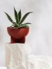 Dome Eros Planter | Vases & Vessels by Capra Designs