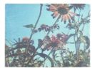 Leaning like flowers towards sunlight | Photography by She Hit Pause. Item made of paper