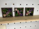Moss Wall Art, Pressed Flower Art, Preserved Moss Decor | Living Wall in Plants & Landscape by Sarah Montgomery