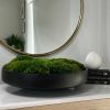 Moss Bowl Centerpiece | Decorative Bowl in Decorative Objects by Moss Art Installations