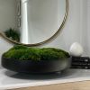 Moss Bowl Centerpiece | Decorative Bowl in Decorative Objects by Moss Art Installations