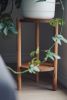 Plant Stand Indoor | Plants & Landscape by ROOM-3. Item made of wood