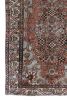 Shia | 3'1 x 11'6 | Runner Rug in Rugs by District Loom