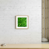 Canopy Glow — Abstract Botanical Photography Print | Photography by Ava Bock Art