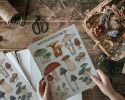 Woodland Mushrooms | Prints by The Ugly Cat Studio