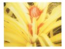 Spoonfuls of Yellow | Photography by She Hit Pause. Item made of paper