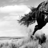 Wild Man - Vertical | Prints by Western Mavrik