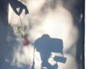 Shadow with rose | Photography by Louise O'Gorman
