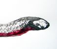 Red Bellied Black Snake | Prints by Brazen Edwards Artist. Item composed of canvas and paper