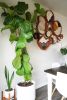 CLEARING | Wall Sculpture in Wall Hangings by Keyaiira | leather + fiber. Item made of cotton & ceramic