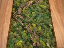 Moss Wall Artwork | Ornament in Decorative Objects by Carlberg Design. Item made of wood compatible with minimalism style