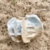 Small Corral Vase .2 | Vases & Vessels by Anna Altman. Item composed of ceramic