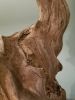 Driftwood Sculpture "Triumphant" | Sculptures by Sculptured By Nature  By John Walker. Item made of wood works with minimalism style