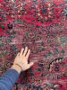 LOVELY Botanical Distressed Antique Persian Sarouk | Berry | Area Rug in Rugs by The Loom House. Item made of cotton with fiber