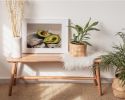 Avocado Still Life Art Print, Creamy Fruit Kitchen Wall Art | Prints in Paintings by The Ugly Cat Studio